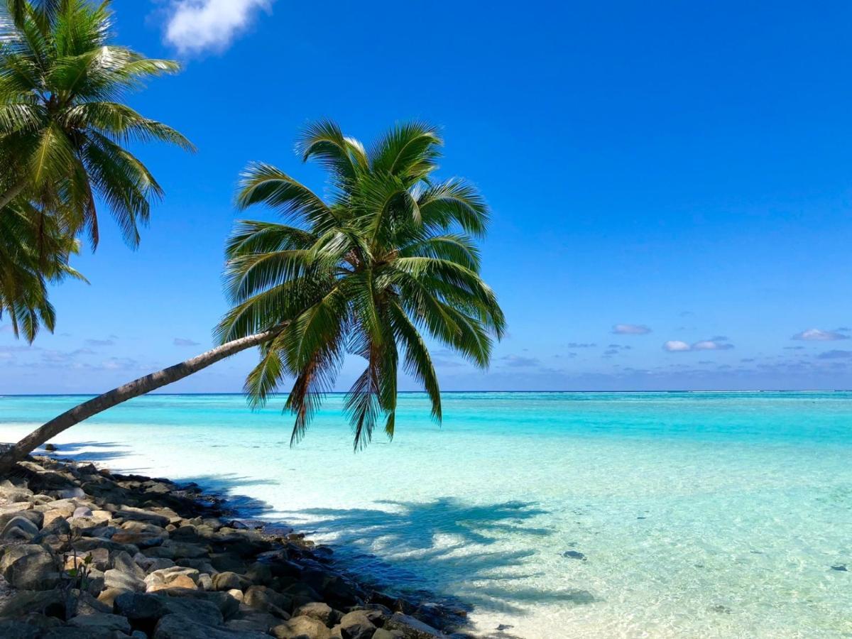 Captal Island 3*
